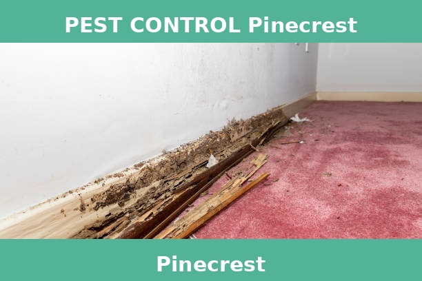 PEST CONTROL Pinecrest